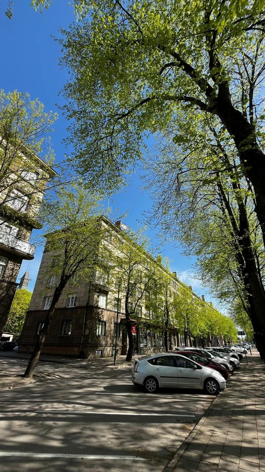 Heritage House Dane Apartment Klaipeda Exterior foto